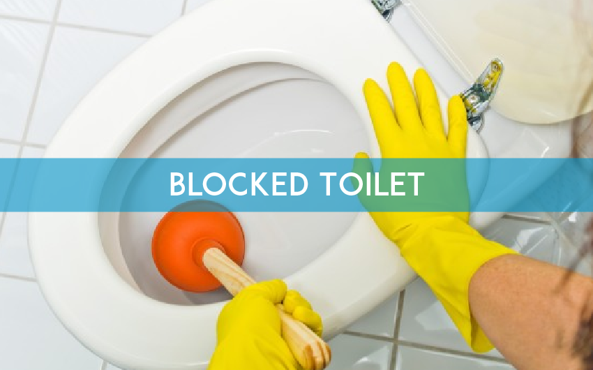 Steps to Take If You Have Blocked Toilet