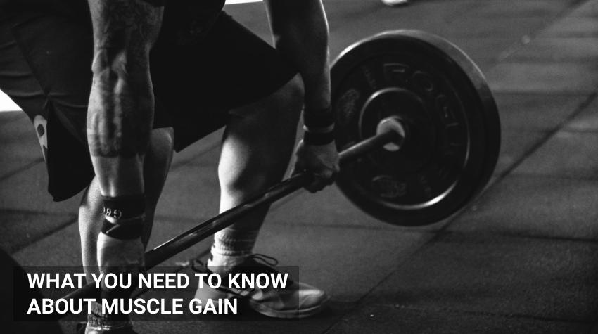 WHAT-YOU-NEED-TO-KNOW-ABOUT-MUSCLE-GAIN